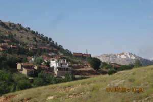 IMG_1973