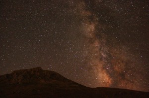 IMG_7771