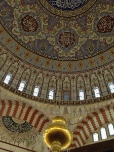 IMG_5395