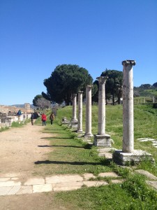IMG_9647