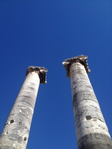 IMG_9694