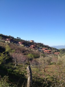 IMG_9729